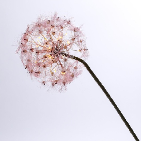 LED Pusteblume - Kunstblume - 22 warmweiße LED - H: 90cm - Batteriebetrieb - Timer - rosa